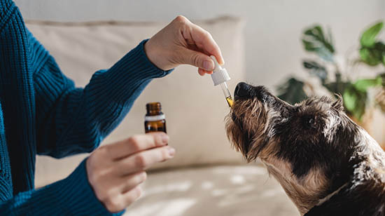 Best joint supplements for dogs in Ireland 2026