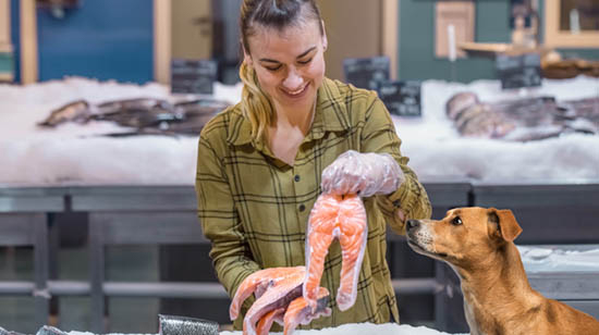 Salmon and fish oil supplements for dogs